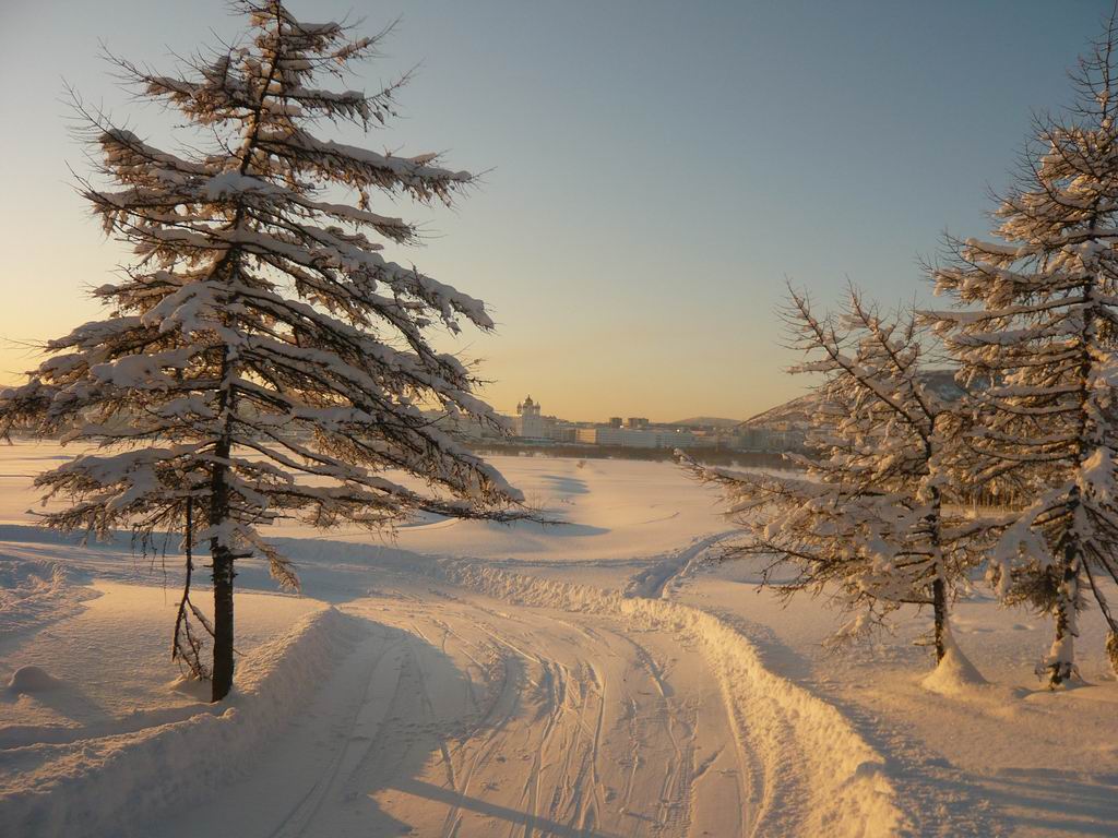 Магаданская лыжня