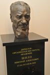 Памятник академику Н.А. Шило